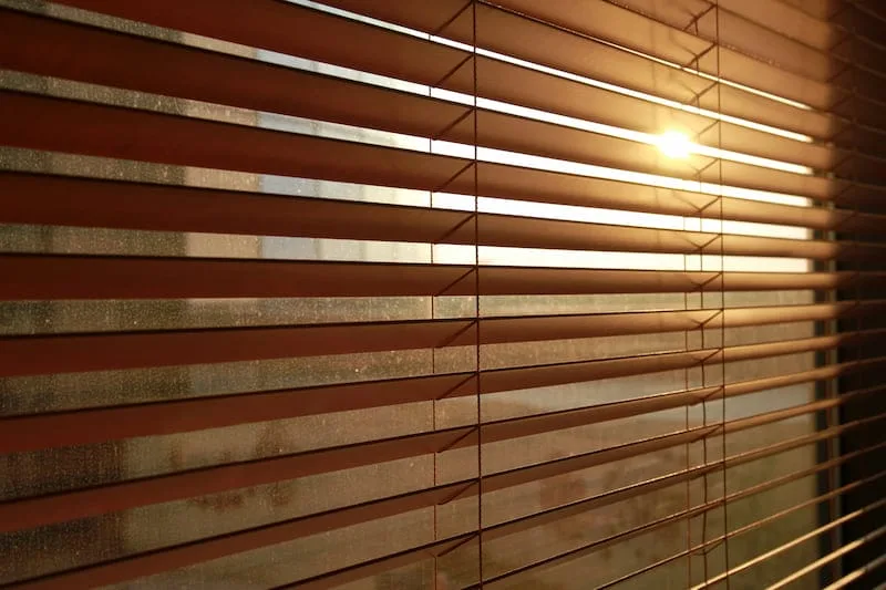 Choosing the Perfect Window Shades for Privacy and Light Control